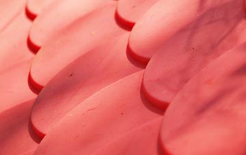 Fearn plastic roof costs