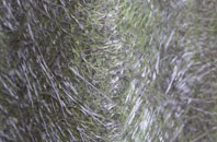 Fearn fibreglass roof work